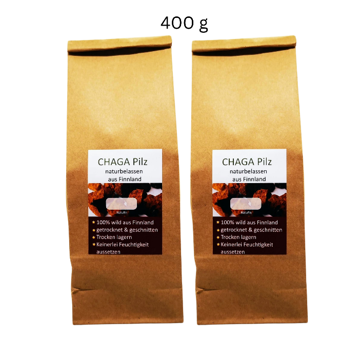 Finnischer Original Chaga Pilz Kornkammer Natur Wildsammlung 1a Qualität 400 gramm