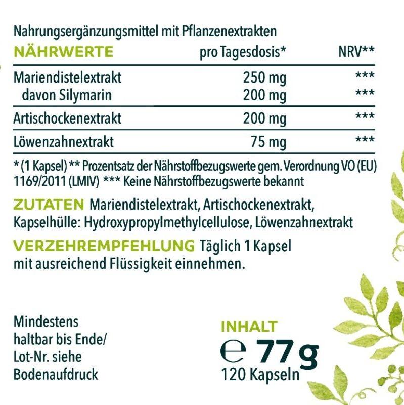 Mariendistel - Komplex mit Artischocke und Löwenzahn