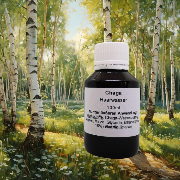 Chaga Haarwasser Gesundheit Haarpflege Shampoo Spülung Chaga Pilz Kornkammer Natur