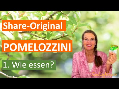 Video Share Original Aprikose und Pomelozzini essen? Kornkammer-Natur