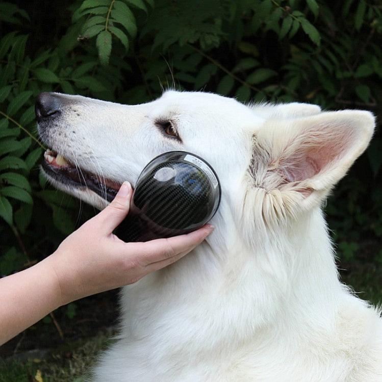 Airnergy Stream Wohlbefinden Schmerzen Tiere Körper Knochen Gelenke Hand Hüfte Fuß Frau Entzündung Bewegung Vitalisator Hund